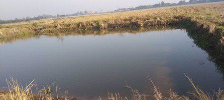 ขายที่ดินสวนมะมวงมีโฉนด-8-ไร่-1-งาน-92-ตรวา-อจอมทอง-จเชียงใหม่