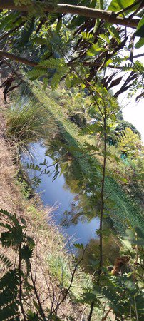 ขายที่ดินสวนมะมวงมีโฉนด-8-ไร่-1-งาน-92-ตรวา-อจอมทอง-จเชียงใหม่