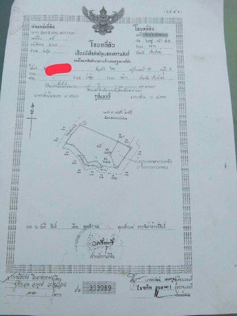 ขายด่วนสวนลำใยมีโฉนด-14-ไร่-3-งาน-74-ตรวาอพร้าว-จเชียงใหม่