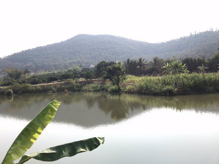 ขายด่วนสวนลำใยมีโฉนด-14-ไร่-3-งาน-74-ตรวาอพร้าว-จเชียงใหม่