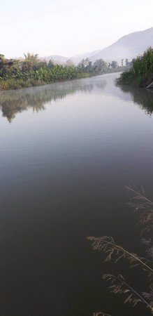 ขายด่วนสวนลำใยมีโฉนด-14-ไร่-3-งาน-74-ตรวาอพร้าว-จเชียงใหม่