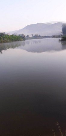 ขายด่วนสวนลำใยมีโฉนด-14-ไร่-3-งาน-74-ตรวาอพร้าว-จเชียงใหม่