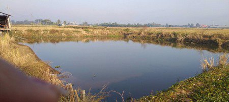 ขายด่วนที่ดินสวนผลไม้-16-ไร่-1-งาน-75-ตรวา-อ-ป่าซาง-จลำพูน