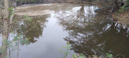 ขายด่วนที่ดินสวนผลไม้-16-ไร่-1-งาน-75-ตรวา-อ-ป่าซาง-จลำพูน