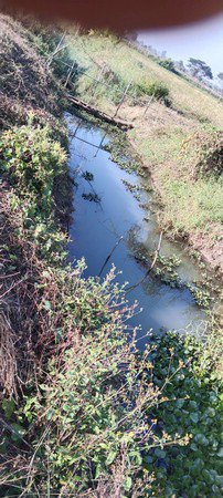 ขายด่วนที่ดินสวนผลไม้-16-ไร่-1-งาน-75-ตรวา-อ-ป่าซาง-จลำพูน