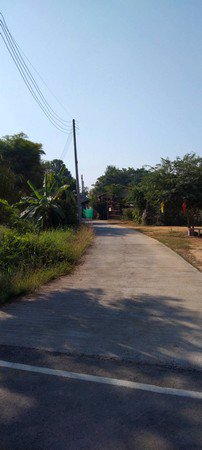 ขายด่วนที่ดินสวนผลไม้-16-ไร่-1-งาน-75-ตรวา-อ-ป่าซาง-จลำพูน