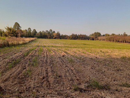 ขายที่ดินอำเภอเมืองอุดร-ที่สวยทำเลดี