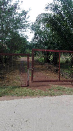 ขายที่ดินอำเภอเมืองอุดร-ที่สวยทำเลดี