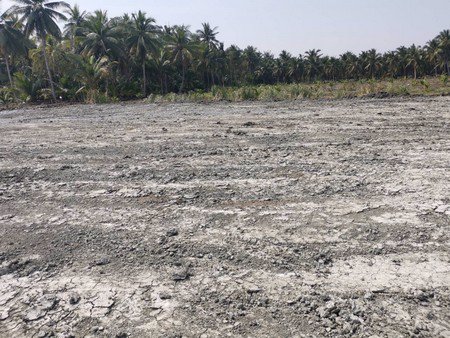 ที่ดิน-ถมแล้ว-ติดถนนติดลำประโดง-1-ไร่-3-งาน-65-ตารางวา-จสมุทรสงคราม