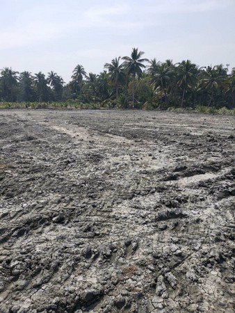 ที่ดิน-ถมแล้ว-ติดถนนติดลำประโดง-1-ไร่-3-งาน-65-ตารางวา-จสมุทรสงคราม