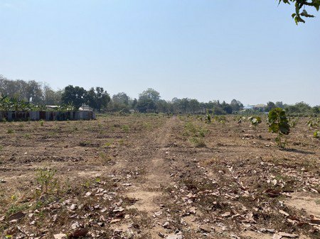 ขายที่ดินเปล่าทำเลดีติดถนนใหญ่เลี่ยงเมืองพิษณุโลก-12ไร่-3งาน-64ตรวา