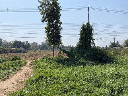 ขายที่ดินเปล่าทำเลดีติดถนนใหญ่เลี่ยงเมืองพิษณุโลก-12ไร่-3งาน-64ตรวา