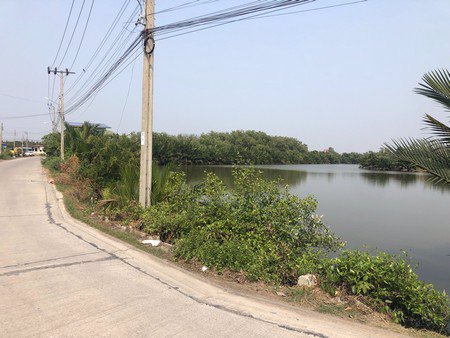 ขายที่ดิน-ตำบลในคลองบางปลากด-11-ไร่-เจ้าของขาย-ราคาถูก