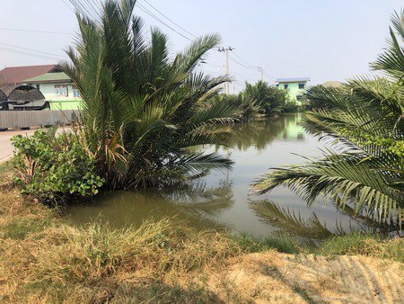 ขายที่ดิน-ตำบลในคลองบางปลากด-11-ไร่-เจ้าของขาย-ราคาถูก