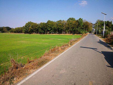 ขายบ้านเดี่ยวชั้นเดียวพร้อมที่ดิน-2-ไร่-อเมือง-จชัยนาท