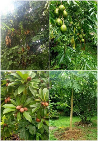 ขายบ้าน-2-หลัง-พร้อมที่ดินรวมฟอร์นิเจอร์-มีสระว่ายน้ำส่วนตัว-จังหวัดชลบุรี