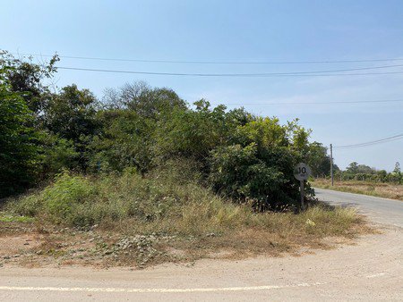 ขายที่ดินถมแล้วมีโฉนดพร้อมโอน-1-ไร่-3-งาน-12-ตรว-จ-สุพรรณบุรี