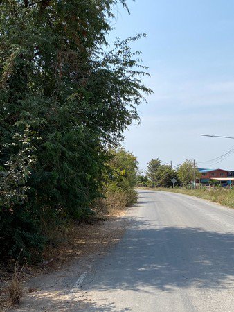 ขายที่ดินถมแล้วมีโฉนดพร้อมโอน-1-ไร่-3-งาน-12-ตรว-จ-สุพรรณบุรี