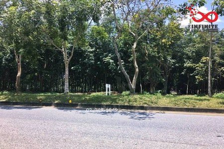 ขายด่วนที่ดินสวนยางพารา-5-ไร่-ติดถนนทางหลวงแผ่นดินสายเพชรเกษมสาย4-ตรัง-พัทลุง