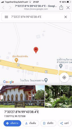 ขายด่วนที่ดินสวนยางพารา-5-ไร่-ติดถนนทางหลวงแผ่นดินสายเพชรเกษมสาย4-ตรัง-พัทลุง