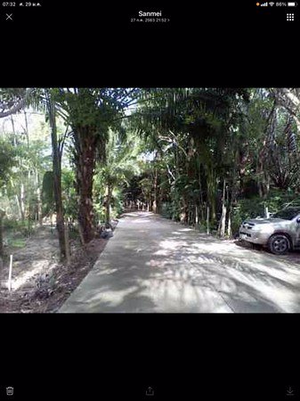 ขายที่ดินและสวนป่า-22ไร่3งาน42ตรวา-16-โฉนด-เกาะสมุย-สุราษฎร์ธาณี