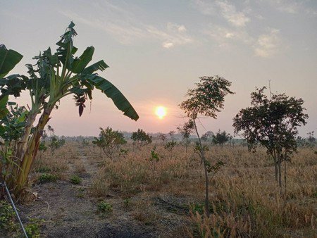 ขายที่ดินทำการเกษตร-ออู่ทอง-จสุพรรณบุรี-3โฉนด-57ไร่-3-งาน-69-ตรวา