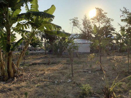 ขายที่ดินทำการเกษตร-ออู่ทอง-จสุพรรณบุรี-3โฉนด-57ไร่-3-งาน-69-ตรวา