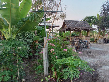 ขายที่ดินทำการเกษตร-ออู่ทอง-จสุพรรณบุรี-3โฉนด-57ไร่-3-งาน-69-ตรวา