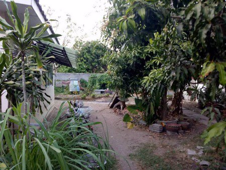 ขายที่ดิน-เนื้อที่-402-ตาราวา-ซ-ติวานนท์48-แนวรถไฟฟ้าสายสีชมพู