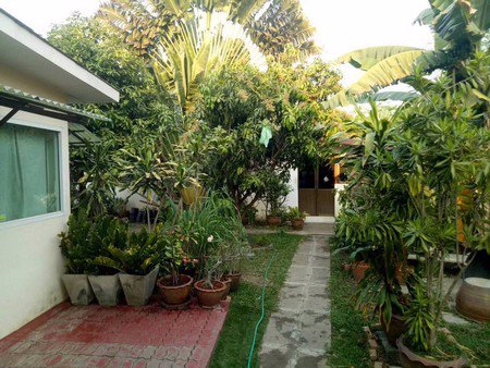 ขายที่ดิน-เนื้อที่-402-ตาราวา-ซ-ติวานนท์48-แนวรถไฟฟ้าสายสีชมพู