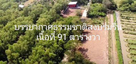 บ้านโครงการใหม่บ้านสวยพลูวิลล่าคลอง3-บรรยากาศดี-ของแถมครบ-ตอบโจทย์ทุกไลฟสไตล์