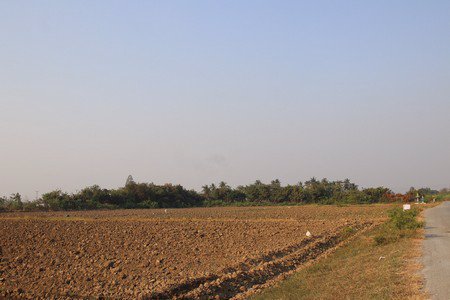 ขายที่ดิน-อกำแพงแสน-จนครปฐม-จำนวน-16-ไร่-1-งาน-91-ตารางวา-มีแบ่งขาย