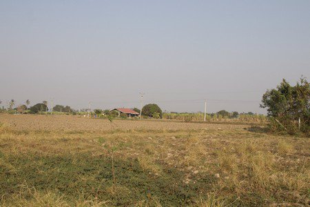 ขายที่ดิน-อกำแพงแสน-จนครปฐม-จำนวน-16-ไร่-1-งาน-91-ตารางวา-มีแบ่งขาย