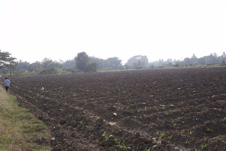 ขายที่ดิน-อกำแพงแสน-จนครปฐม-จำนวน-16-ไร่-1-งาน-91-ตารางวา-มีแบ่งขาย