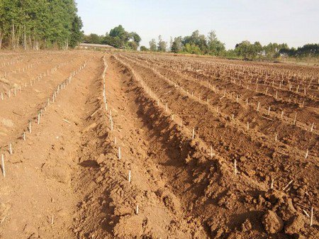 ขายที่ดินโฉนด-2-แปลงรวม-15-2-00-ไร่-ทำเลดี-หน้ากว้าง-98-เมตร-จสระแก้ว