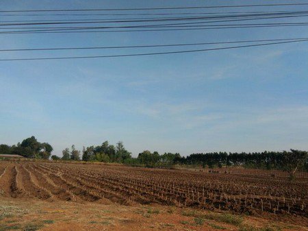 ขายที่ดินโฉนด-2-แปลงรวม-15-2-00-ไร่-ทำเลดี-หน้ากว้าง-98-เมตร-จสระแก้ว