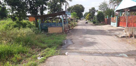 ขายด่วนที่ดินมีโฉนด-345-ตรวา-อบางมูลนาก-จพิจิตร