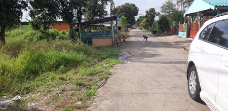 ขายด่วนที่ดินมีโฉนด-345-ตรวา-อบางมูลนาก-จพิจิตร