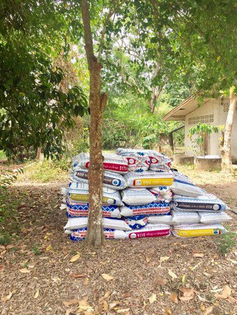 ขายสวนมังคุดและสวนยาง-ทำเลดีเหมาะกับทำธุรกิจแบบต่างๆได้-จนครศรีธรรมราช