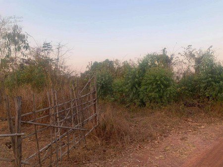 ขายที่ดินเปล่า-จหวัดหนองคาย-เนื้อที่-17-ไร่