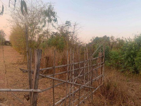 ขายที่ดินเปล่า-จหวัดหนองคาย-เนื้อที่-17-ไร่