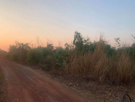 ขายที่ดินเปล่า-จหวัดหนองคาย-เนื้อที่-17-ไร่