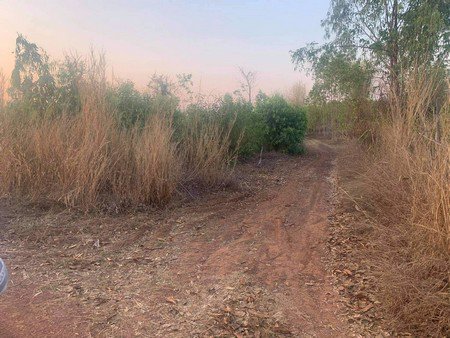 ขายที่ดินเปล่า-จหวัดหนองคาย-เนื้อที่-17-ไร่