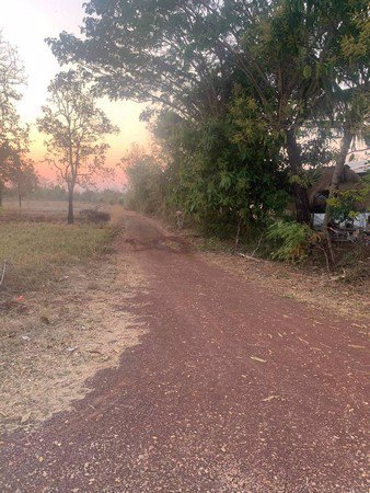 ขายที่ดินเปล่า-จหวัดหนองคาย-เนื้อที่-17-ไร่