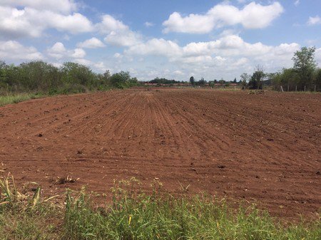 ขายด่วนที่ดินเปล่าตรงข้ามสมาคมชาวไร่อ้อย-ksl14ไร่-2-งาน-71-ตรวา