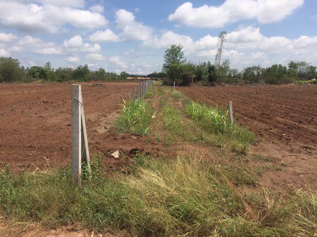 ขายด่วนที่ดินเปล่าตรงข้ามสมาคมชาวไร่อ้อย-ksl14ไร่-2-งาน-71-ตรวา
