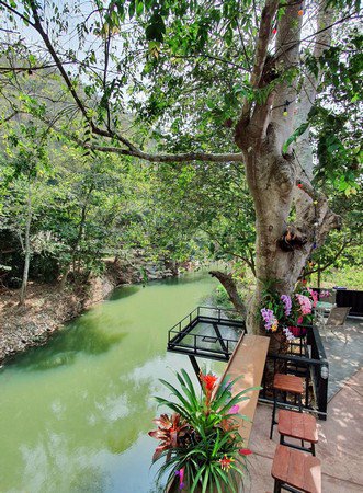 ขายบ้านพักกึ่งรีสอร์ท-เนื้อที่-1-ไร่-31-ตารางวา-ติดลำตะคอง-รายล้อมด้วยภูเขา