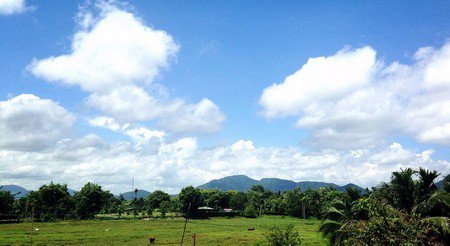 ขายที่ดิน-8ไร่-3งาน-76ตรว-พร้อมตึก2ชั้น-ลงทุนทำแบ่งจัดสรรขายได้-จระยอง