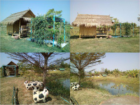 ขายที่ดิน-สวนมะม่วง-ส้มโอทับทิมสยาม-รวม-20-ไร่-สระน้ำใหญ่-2-พร้อมบ้าน-โรงเก็บของ-น้ำไฟพร้อม