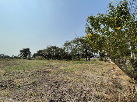 ขายที่ดินใกล้ถนนราชพฤกษ์-1-ไร่-2-งาน-อปากเกร็ด-จนนทบุรี